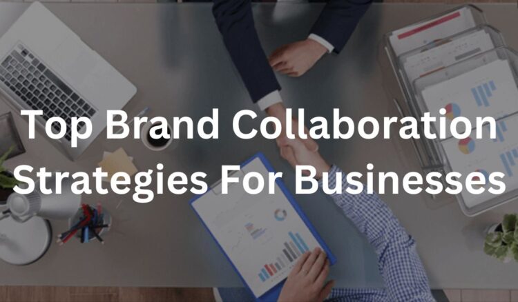 Brand Collaboration