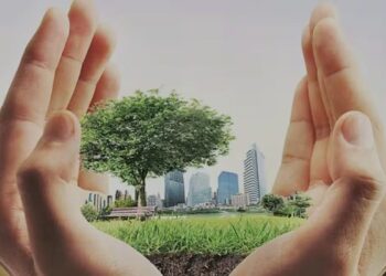 Sustainability Revolutionize