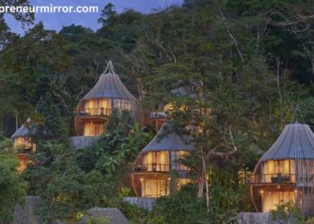 Luxury Treehouses