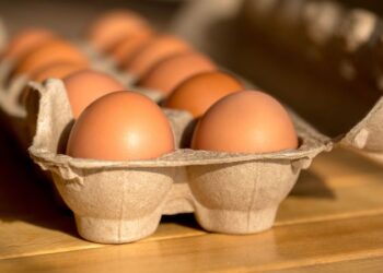 The Cost of Eggs is Increasing once more. A Avian Flu Outbreak could Exacerbate the Situation.