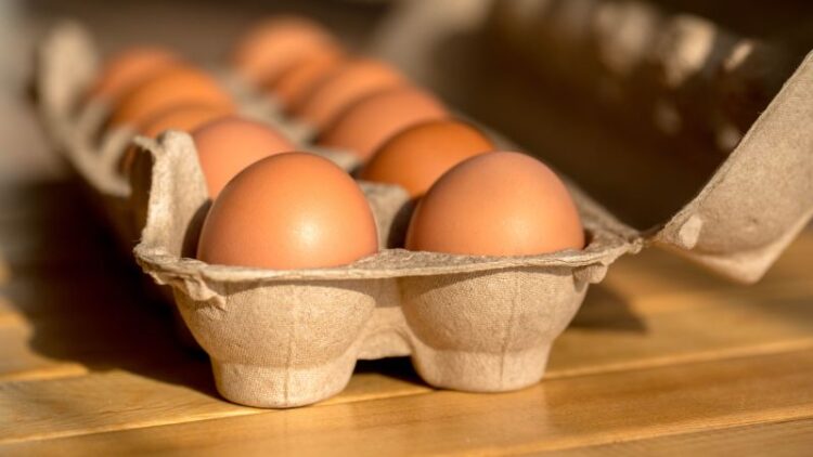 The Cost of Eggs is Increasing once more. A Avian Flu Outbreak could Exacerbate the Situation.