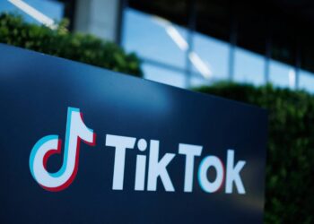 TikTok's Ban would Hurt China's Tech Goals and Widen the World's Digital Divide.