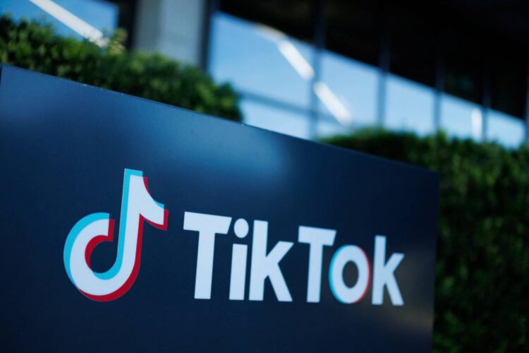 TikTok's Ban would Hurt China's Tech Goals and Widen the World's Digital Divide.
