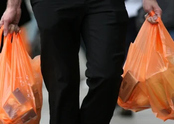 After the Prohibition on Single-use Plastics, What Does the UAE's Future Hold?