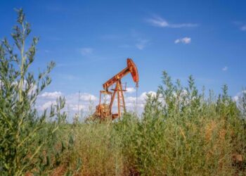 Due to Political Unpredictability in the US and the Middle East, Oil