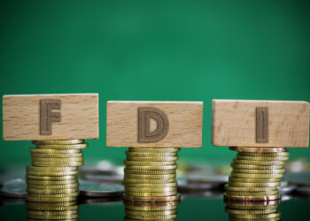 Assistant Minister: Saudi Arabia seeks Foreign Direct Investment from Asia and Europe