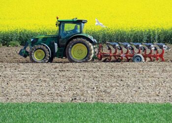 A New Initiative to Increase Food Security in the UAE