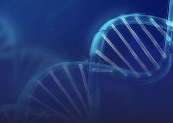 As of October 1, Abu Dhabi Offers Genetic Testing as Part of Premarital Examinations for Emiratis