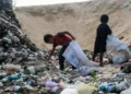 The Head of UNRWA Warns of the "Real Risk" of Famine in Gaza