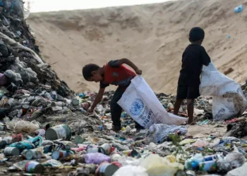 The Head of UNRWA Warns of the "Real Risk" of Famine in Gaza