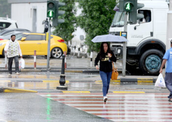 DMCC Strengthens its Sustainability Hub by Signing three Partnerships