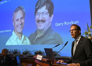 The Discovery of microRNA Wins the Nobel Prize in Medicine