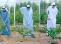 Mohammed Bin Rashid Carries out Zayed's Wishes by Launching the Nationwide Initiative "Plant the UAE.