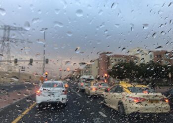 UAE Weather: There is a Red Advisory for Fog, and some Locations may see Light Rain