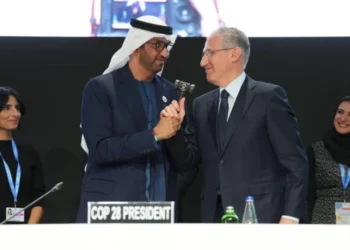 Sultan Al Jaber States at the COP29 Summit, "We are What we do, not what we say"