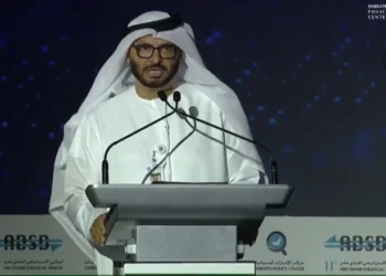 Gargash urges the Arab World to take Coordinated, International efforts to Combat the Militia Problem