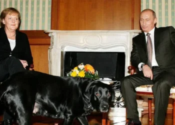 Putin Disputes that he Used his Dog Koni to try to Scare Merkel