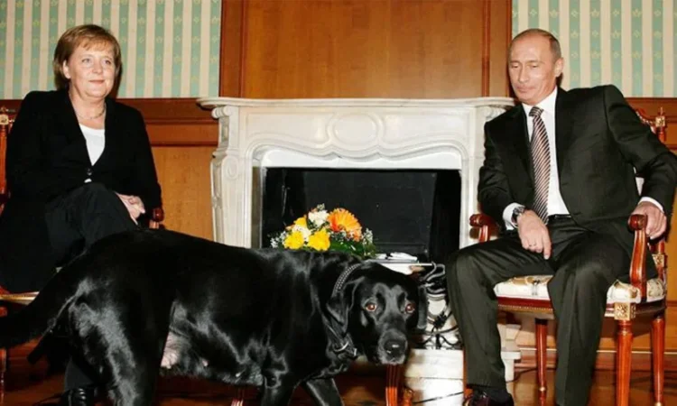 Putin Disputes that he Used his Dog Koni to try to Scare Merkel