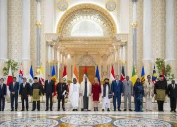 Credentials of new ambassadors to the UAE are Given to the President