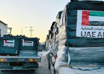 Twelve more Trucks are sent by the UAE to Deliver Supplies to Gaza