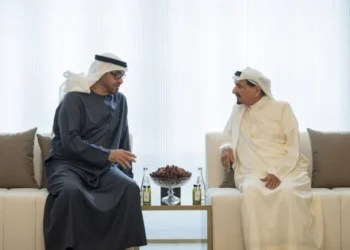 Ajman Ruler and UAE President Talk About National Interest Issues