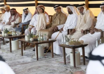Sheikh Mansour Engages with Al Ain Residents