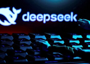 India Praises DeepSeek, a Chinese AI lab, and Intends to use Local Servers to House its Models