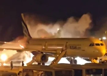 Seven People Suffered Injuries in a South Korean Aeroplane Fire