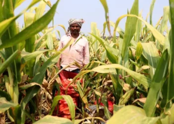 A $100 Billion Export goal has been Established for India’s Agriculture and Food Industries