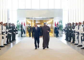 UAE and Egyptian Presidents Discuss Bilateral Relations and Regional Developments