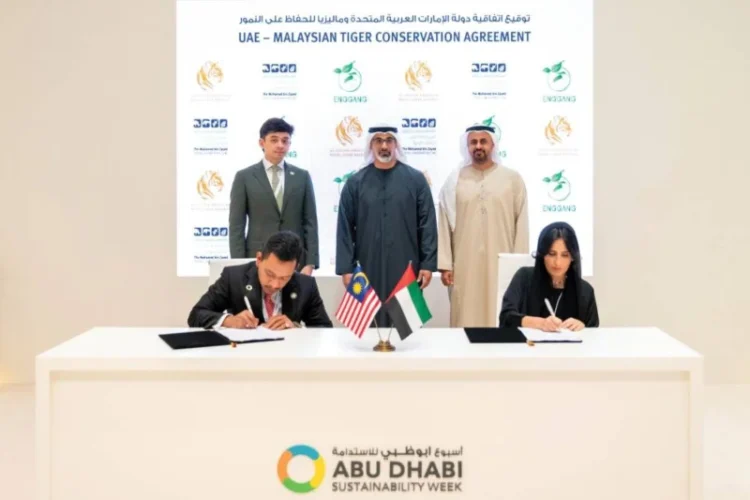 UAE and Malaysia sign Accord to Rescue Endangered Malayan Tigers