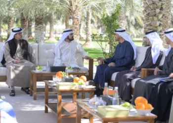 President and Vice President talk About the UAE’s Growth Ambitions