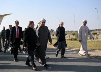 PM Shahbaz and President Sheikh Mohamed talk about UAE-Pakistan Collaboration