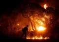 Firefighters in Los Angeles Prepare for the Return of Strong Winds
