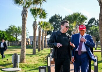 Concerns Surround US Investigations into Musk’s Empire as he Gains Power