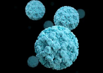 The US Norovirus Surge: All the Information You Need
