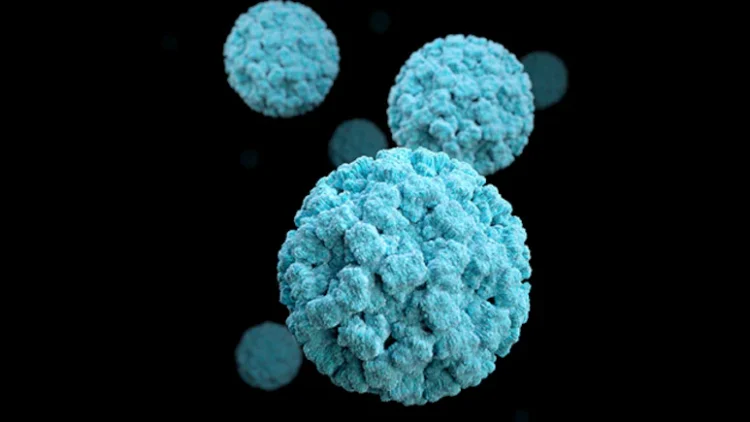 The US Norovirus Surge: All the Information You Need