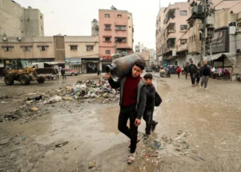 Arab Nations Oppose Removing Palestinians from Gaza in letter to US