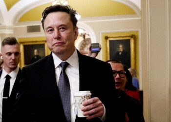 Is it Permissible for Elon Musk to Promote Government Efficiency