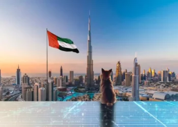 Shiba Inu and the Ministry of Energy and Infrastructure Collaborate to Promote Digital Transformation