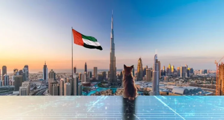 Shiba Inu and the Ministry of Energy and Infrastructure Collaborate to Promote Digital Transformation