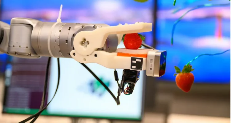 How an AI-powered Robot From the UAE Can Pick Fragile Strawberries and Assist During a Labour Crisis