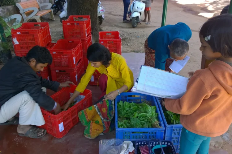 UAE: How Volunteers Packed Iftar Boxes For 5,000 Low-Income Households, "Rescuing" Food and Preventing Waste