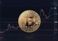 How to Invest in Cryptocurrencies and Profit Greatly from the Market