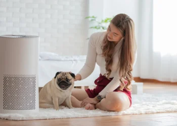 Introducing the UAE to Cutting-Edge Air Purification Technology