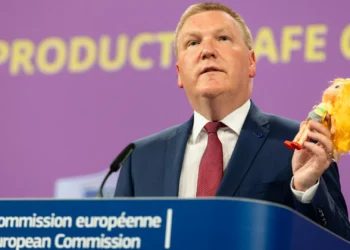 The Main Source of the EU’s Record-Breaking Warnings About Unsafe Items is Chinese Toys