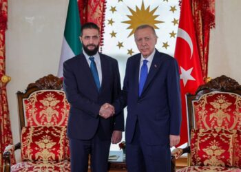In Istanbul, Syrian Leader Sharaa Joins Turkish President Erdogan