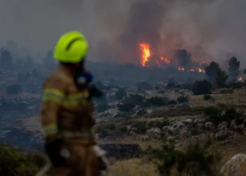 Israel News: A Large Fire Close to Jerusalem Has Been Contained, But Strong Winds Might Rekindle The Flames