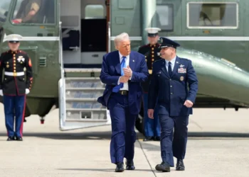 Trump May Travel to Turkey to Attend Talks Between Russia and Ukraine