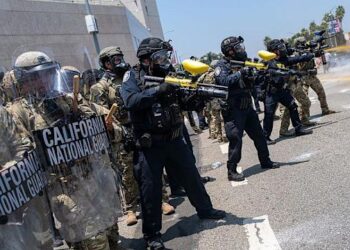 How Suspicions of an Immigration Raid at a Hardware Shop Caused a Commotion in Los Angeles